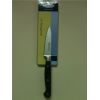 Нож для чистки овощей GASTRORAG PLS020 9 см, нерж.сталь, рукоятка ABS-пластик 